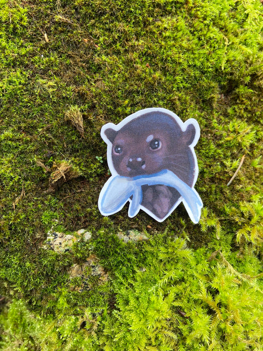 Giant otter sticker-conservation series