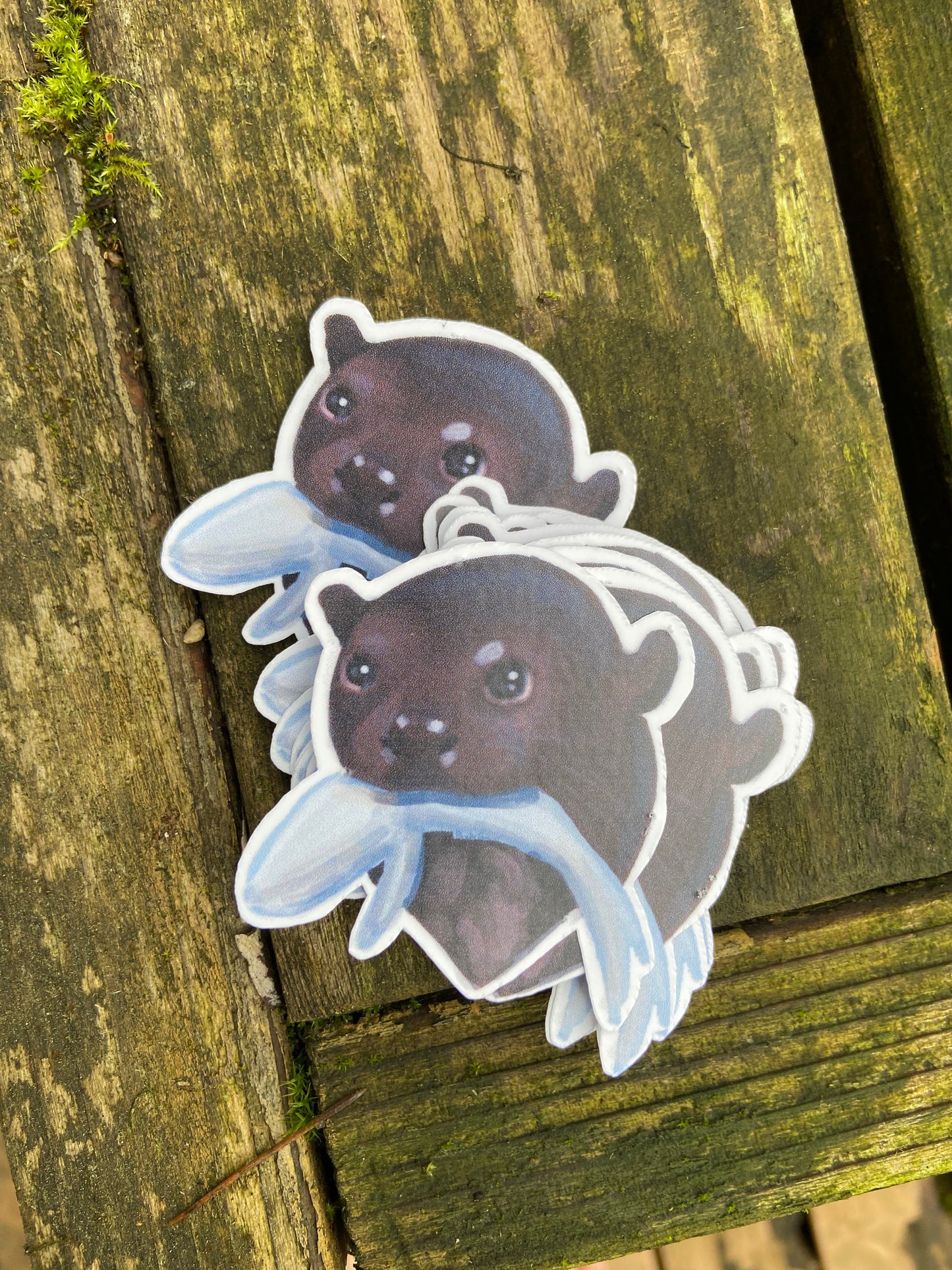 Giant otter sticker-conservation series